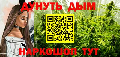 ешки Будённовск