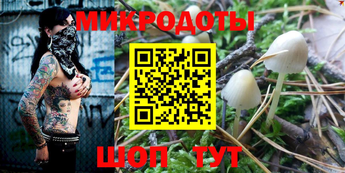 Галлюциногенные грибы Psilocybe Сыктывкар